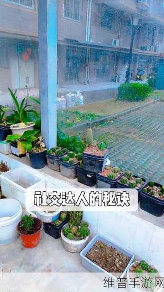 宅男免费：1. 从宅男到社交达人：打破单身生活的10个秘诀