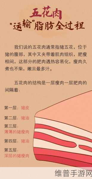 错位关系C1V1一块五花肉：1. ＂五花肉的美味搭配和烹饪技巧