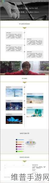 DW成品网站成品揭秘：1. 深入解析DW成品网站的独特魅力与优势