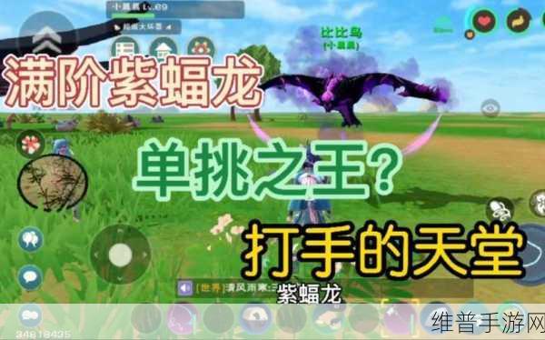 创造与魔法，紫蝠龙合成全攻略