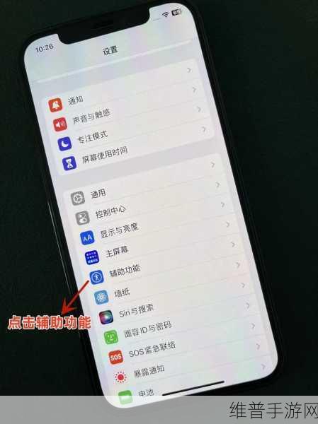 苹果引导式访问失灵？手游攻略助你解决困扰