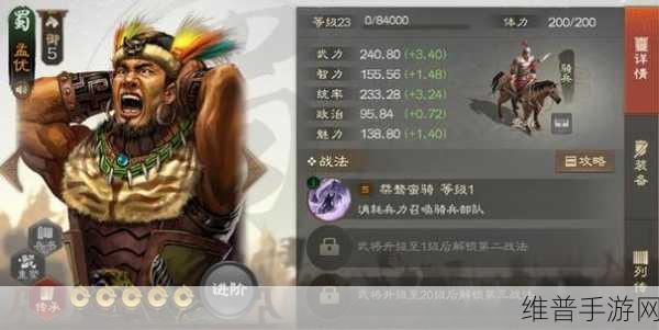 三国志战棋版传檄宣威深度解析，效果与实战应用