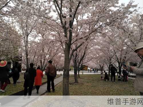 贾政令宝钗扶着树干的故事原文：1. 宝钗扶树，情深意重的瞬间