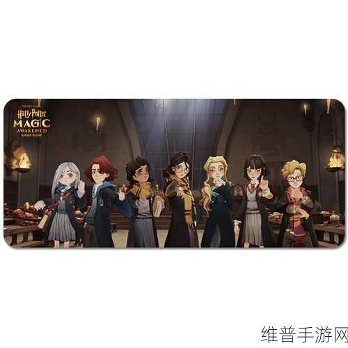 哈利波特魔法觉醒，赫敏藏品的深度剖析与最大作用