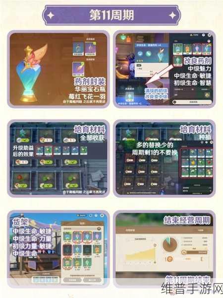 原神升炼研巧万策金第三阶段市场深度洞察