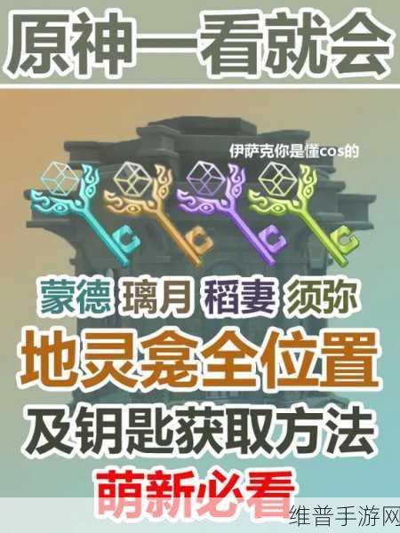 原神3.1活力之家钥匙获取地点全攻略，解锁隐藏宝藏的奇妙之旅