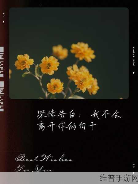 如果男人亲你的花园是爱你吗：1. 当男人亲吻你的花园，是否象征着深情的承诺？