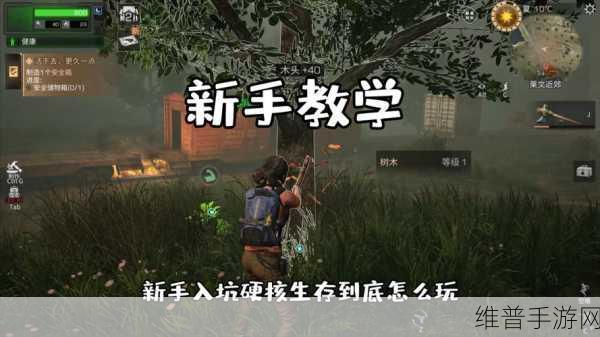 明日之后新手全攻略，必看生存技巧大汇总