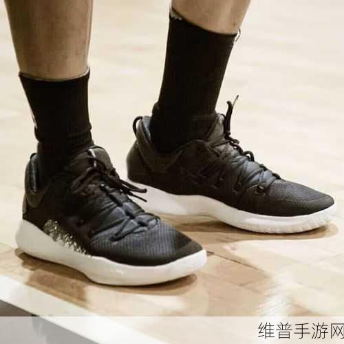 ZOOM与ZOOMHD性能比较：“ZOOM与ZOOMHD性能全面对比：哪款更适合你？”