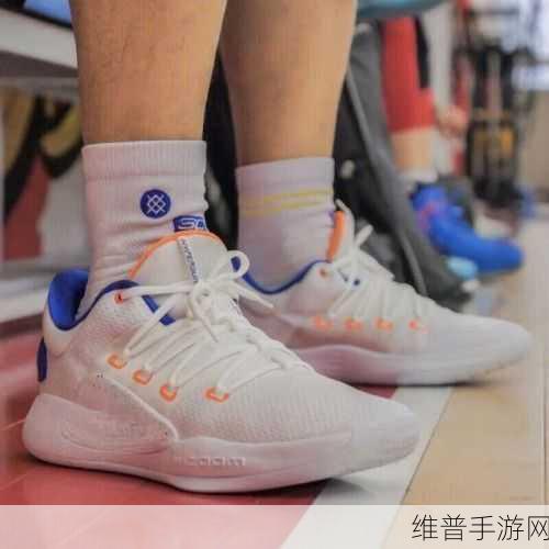 ZOOM与ZOOMHD性能比较：“ZOOM与ZOOMHD性能全面对比：哪款更适合你？”