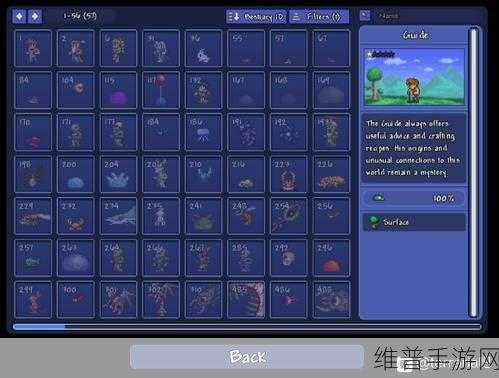 泰拉瑞亚溶液用途全解析，助你称霸游戏世界