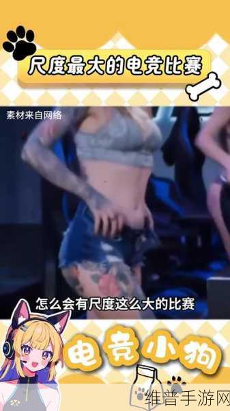 探秘暴躁老阿姨CSGO:1. "探秘暴躁老阿姨:CSGO中的战斗与幽默