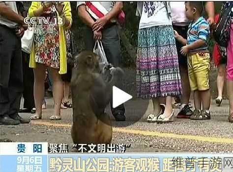 小孩半夜被女孩吃睾丸正常吗：1. 半夜惊魂：小孩被女孩咬伤事件探讨