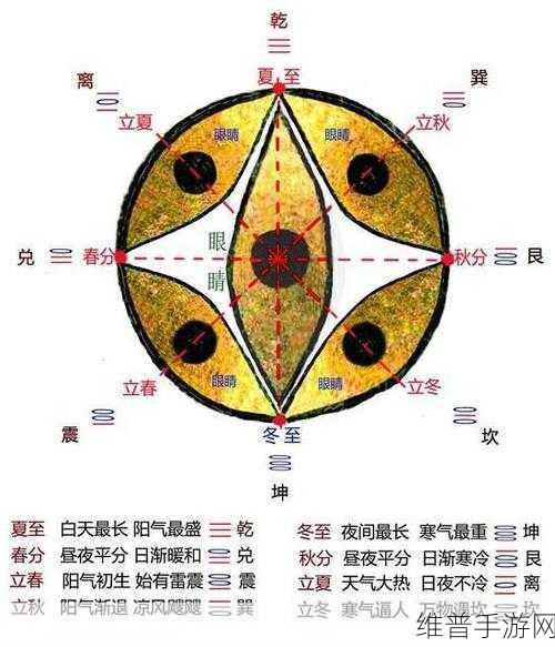 八卦海ABW311执行官：1. 八卦海ABW311执行官的战略洞察与市场前景