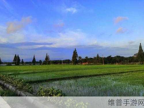 田园风情】探索风流在乡村：1. 田园风情下的乡村浪漫探索之旅