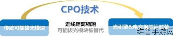 次次挨揍CPO要下架了：1. ＂次次挨揍CPO将被下架，用户反应热烈