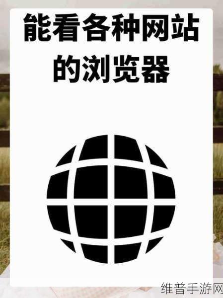可以进入任何网站的浏览器：1. ＂无限畅游网络世界：多功能浏览器扩展推荐