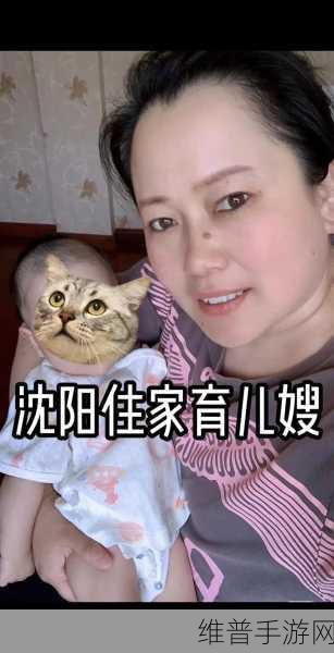 45岁的沈阳阿姨都叫了谁的：1. 沈阳阿姨45岁：她都叫了谁的故事？