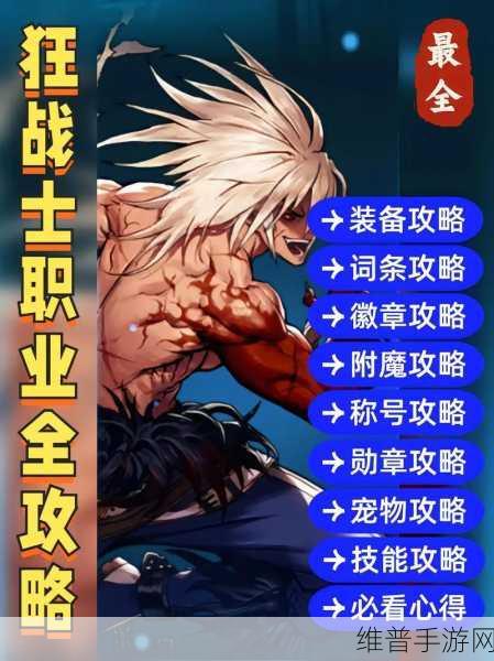 DNF85狂战宠物选择全攻略，打造最强战斗伙伴