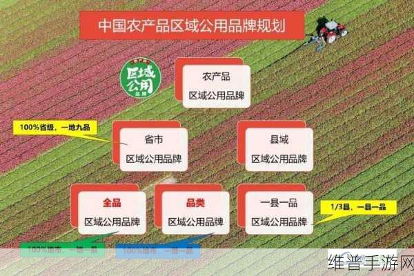 国精产品一品二品三品：1. 国精产品：一品二品三品的魅力与价值