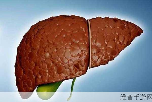 办公室强肝是好事还是恶性：1. 办公室强肝：健康提升还是隐患潜伏？