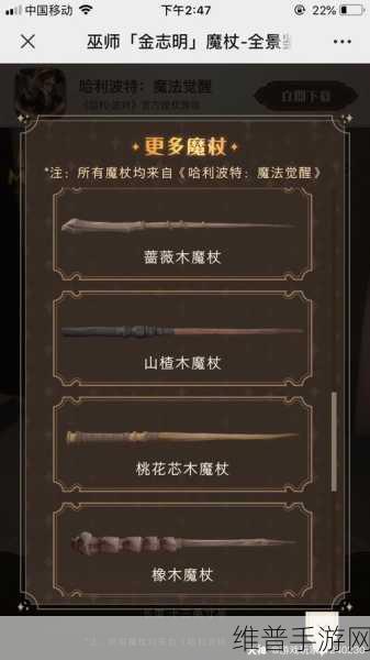 哈利波特魔法觉醒,探索神秘电台信号彩蛋与魔法觉醒彩蛋数字全攻略