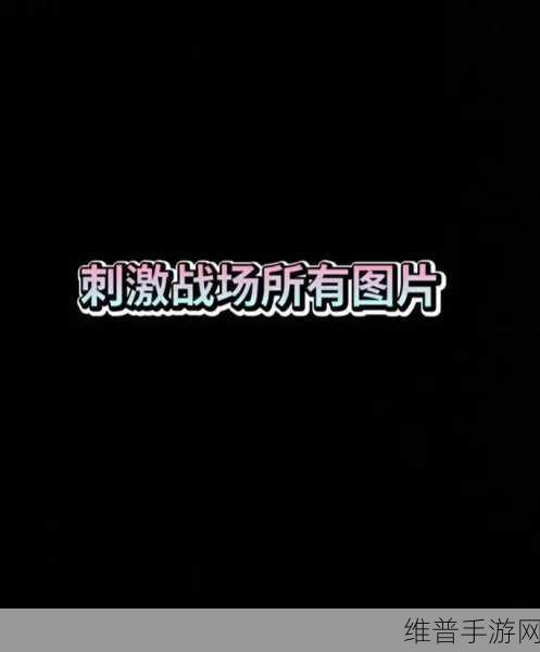 刺激战场未满十八岁：1. 青春无畏：未满十八岁玩家的战场故事