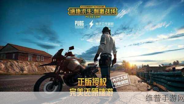 刺激战场未满十八岁:1. 青春无畏:未满十八岁玩家的战场故事