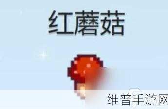 星露谷物语，全面解析红蘑菇的获得方法