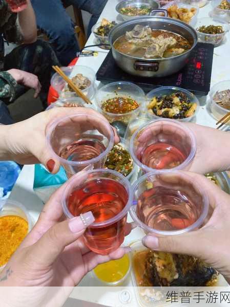 妈妈生日喝酒了没忍住：1. 妈妈生日狂欢夜：酒杯相伴的温馨回忆