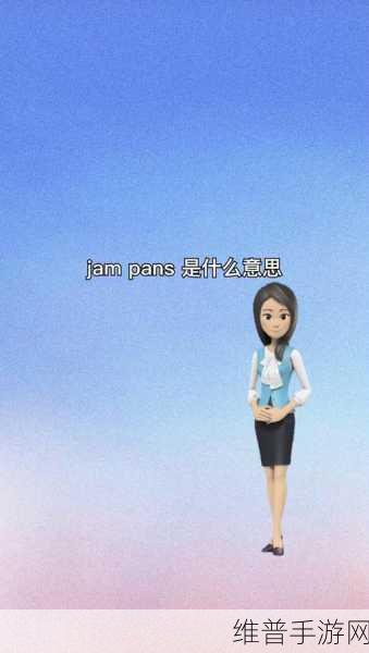 解析JANPENSEVISA：当然可以，以下是关于“JANPENSEVISA”的一些扩展标题建议：