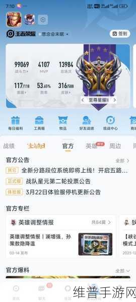 王者荣耀账号无故禁言一年的困境与求解
