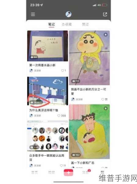 探究小红书无法开通专业号的缘由及手游攻略秘籍