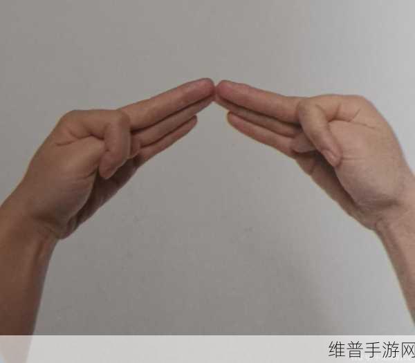 揭秘扣自己的正确手势图9个：1. 揭秘扣自己的正确手势：让沟通更顺畅的技巧