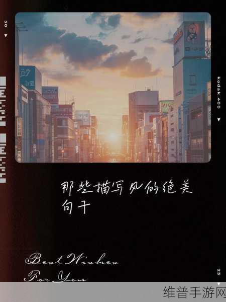 用我的手指拨动你的心弦樱花：1. 用指尖轻触心灵的旋律与樱花