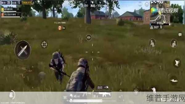 二人世界刺激战场：1. 二人世界：携手征战刺激战场的冒险之旅