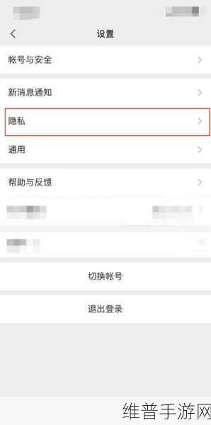 和平精英隐身登录全攻略，隐身设置方式深度解析