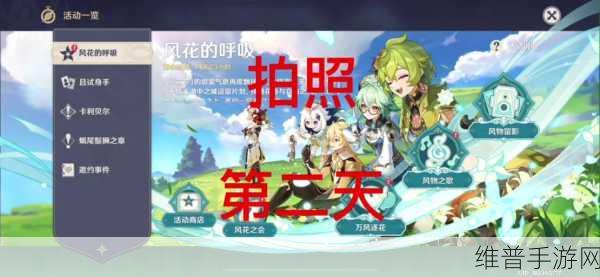 原神风花节留影任务全攻略，标记点附近留影详解
