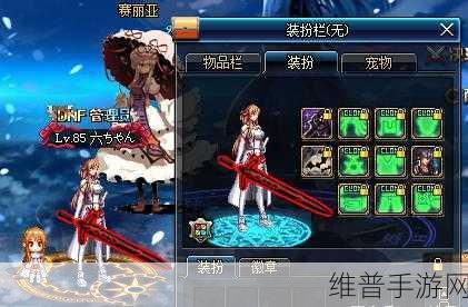 DNF红眼宠物选择，亚丝娜与莉兹贝特深度对比