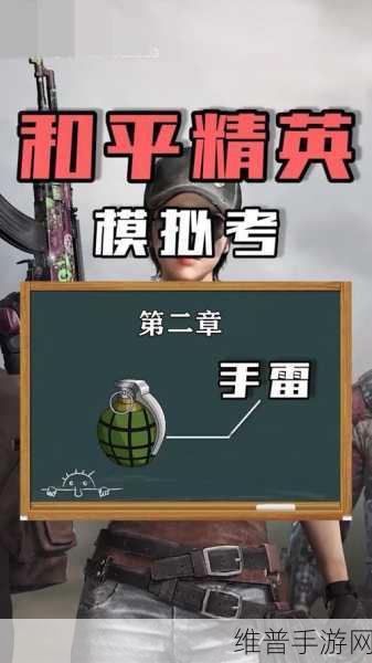 和平精英电磁脉冲手雷实战应用全解析