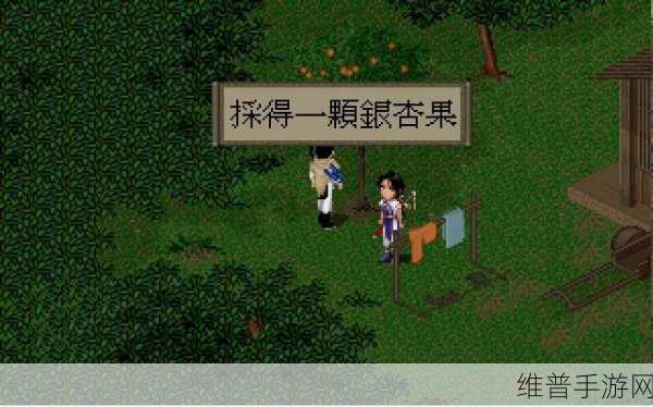 韩医仙在新仙剑奇侠传中的角色深度剖析与卡牌策略解读