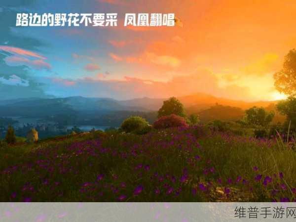 野花直播视频免费高清使用简单：1. 野花直播平台：轻松畅享高清精彩内容
