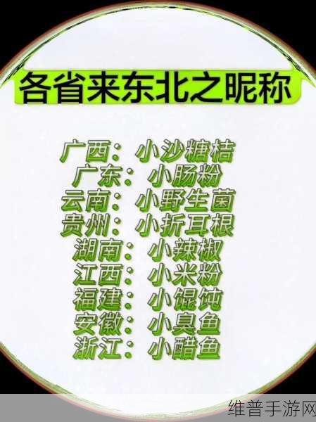 汤姆视频最新地域网名取名技巧：1. 如何运用地域特色为视频取名增添吸引力
