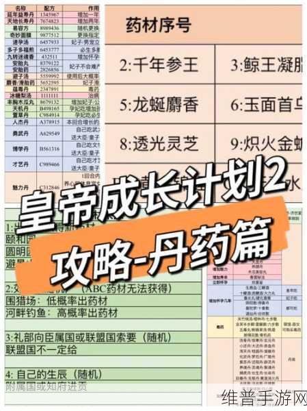 皇帝成长计划丹药：1. 皇帝成长计划：丹药的奥秘与应用