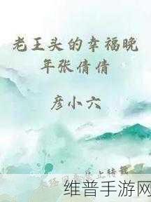 游戏挑战-老王头的幸福晚年张倩倩：1. 老王头的幸福晚年：张倩倩的逆袭之路
