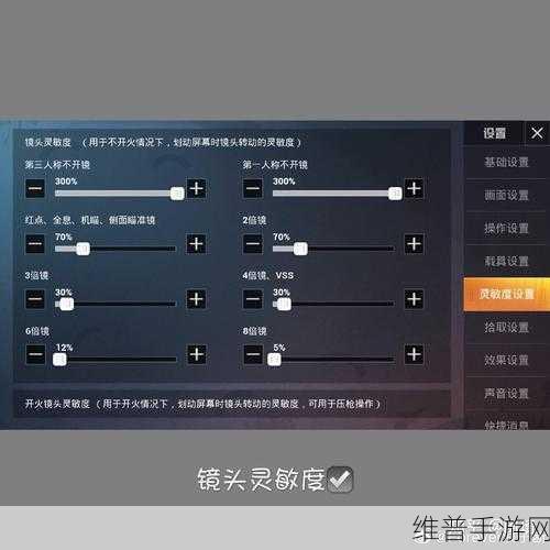 和平精英入队特效设置全攻略，轻松打造个性体验