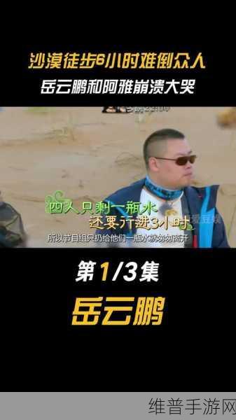 西游奇遇记中的数30游戏，岳云鹏的智慧对决与手游攻略启示