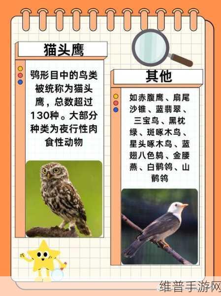 ZOOM动物人：当然可以！以下是一些基于ZOOM动物人的新标题建议，字数不少于10个字：