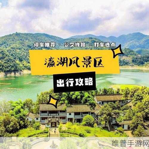 小森生活精耕细作全方位解析与攻略指南