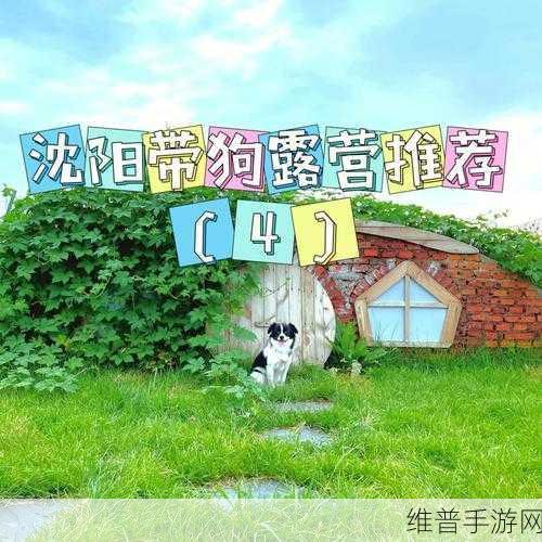 ZOOMSERVO兽狗牧场：1. ZOOMSERVO兽狗牧场：探索与动物互动的新体验